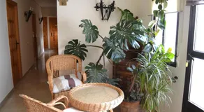 Hostal Los Claveles - Image 4