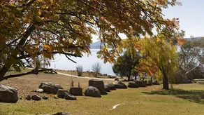 Grey Kangaroo - 2BR l Lake Front l Pet Friendly l Air-Con l BBQ l WiFi - Image 4