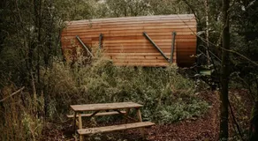 Cozy Treehouse Retreat in Overijssel - Image 5
