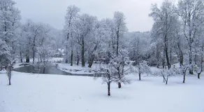 Pałac Dąbrowica - Image 3
