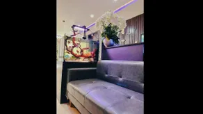 DT Hotel Hai Phong - Image 4