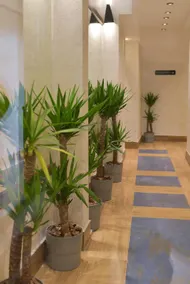 Corso Rooms City Centre - Image 2