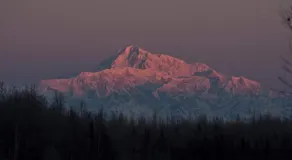 Talkeetna Fireweed Cabins - Image 5