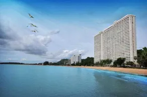 Milford paradise - Image 4