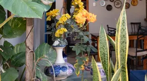 Casa Betancourt Salinas - Image 4