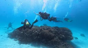 ISLANDSTAY珊瑚Tokashiki旧旅館村元 - Image 4