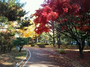 Nonhyeon All In - Image 2