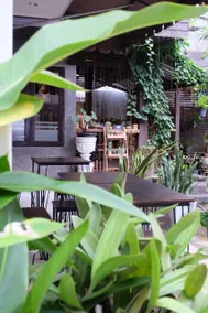 I-House Chiangrai - Image 3