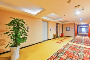 Ruijia Large Hotel Chengdu Airport - Image 5