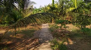 Gulmohar Cottages - Home Stay in Alibag - Image 4