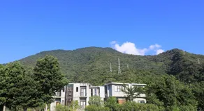 Country Living Home Stay - Image 3