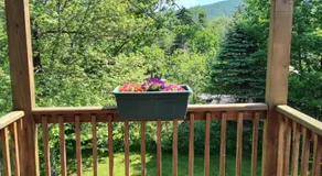 Doveberry Inn - Image 4