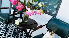 Mai Anh Đào Hotel - Image 4