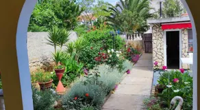 Apartmani Matan Vir - Image 5
