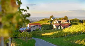 Weingut Schwarzl - Image 5