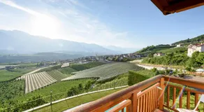Agritur La Pieve - Image 4