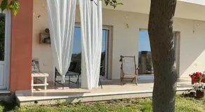 Horizon House, with Olive Grove and a small Vineyard - Image 4