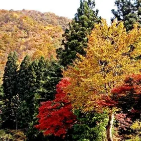 Echigooyu Onsen Yu no Yado Kairi - Image 4