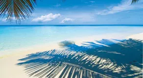 Le BDM PLAYITA - Image 5