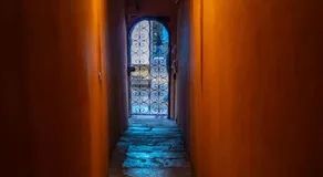 Homing - Torino 73 - Image 4