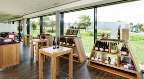 MEYERHOF - Bioweingut, Vinothek & Gästehaus - Image 5