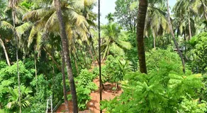 Anugraha Bed&Breakfast Homestay - Image 5