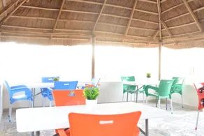 Peace Media Hotels - Image 2