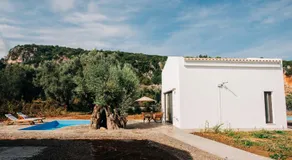 Villa di Vino - Image 5