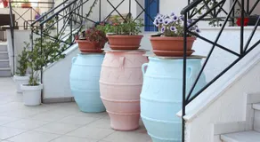 Hara's Studio - Image 5