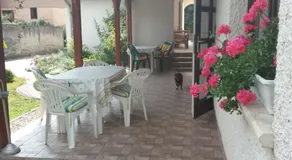 Vincze Vendégház - Image 3