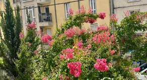 F3 au grenier d'une maison - Image 5