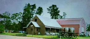 Mountview Wines and Accommodation - Image 5