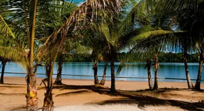 Overbridge River Resort - Image 5