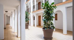 Calpe cozy apartment with the mountain view 5 min to the beach - Image 4