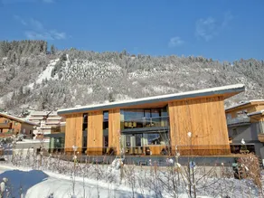 Apartment in Wildkogel near Ski Lift - Image 4