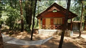 Devbagh beach resort - Junglelodges - Image 3