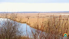 Laguna Nuferilor Habitat - Image 3