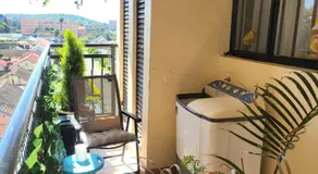 Ivy's Home away from Home - Image 3