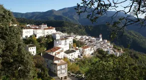 Jardines del Visir - Image 4