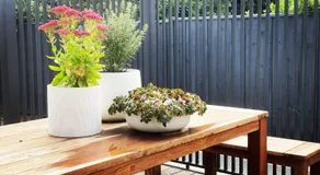 Saint Brides - Superior Boutique Accomodation - STEPS TO PAKINGTON STREET - Image 5