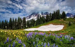 Auszeit  Unsere kleine Farm - Image 3