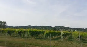 Locazione turistica da Toio - Image 5