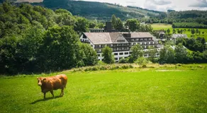 Sauerland Alpin Hotel - Image 5