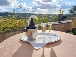 Château Haute Roche - Image 4
