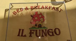 Il Fungo - Image 5