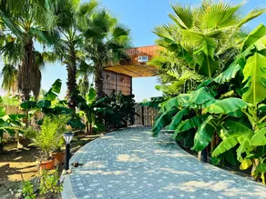 In Out Glamping Resort - Image 4