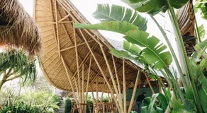 White Tortoise Eco Villa's - Image 5