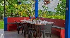Guacamayo Azul - Image 4