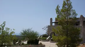 Thelea Mani - Image 4