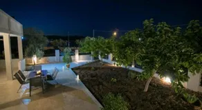 AMMOS - Image 4